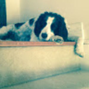 Meet your Posher, Kaitlyn